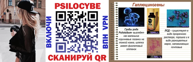 Галлюциногенные грибы Psilocybine cubensis  Краснозаводск 